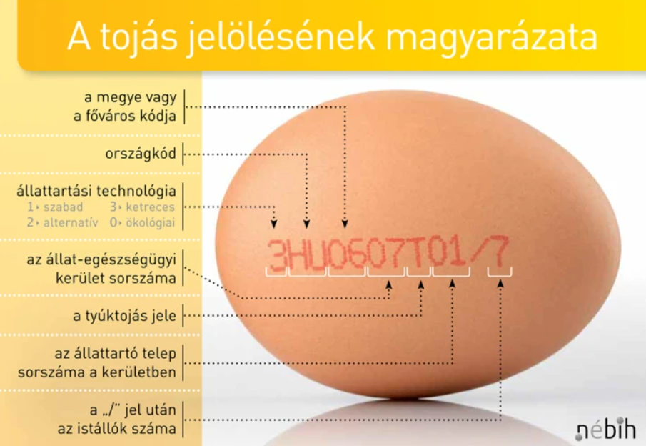Hogyan ismerd fel a termelői tojást?